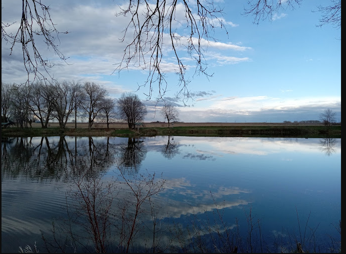 Larson Lake Co Park Camping