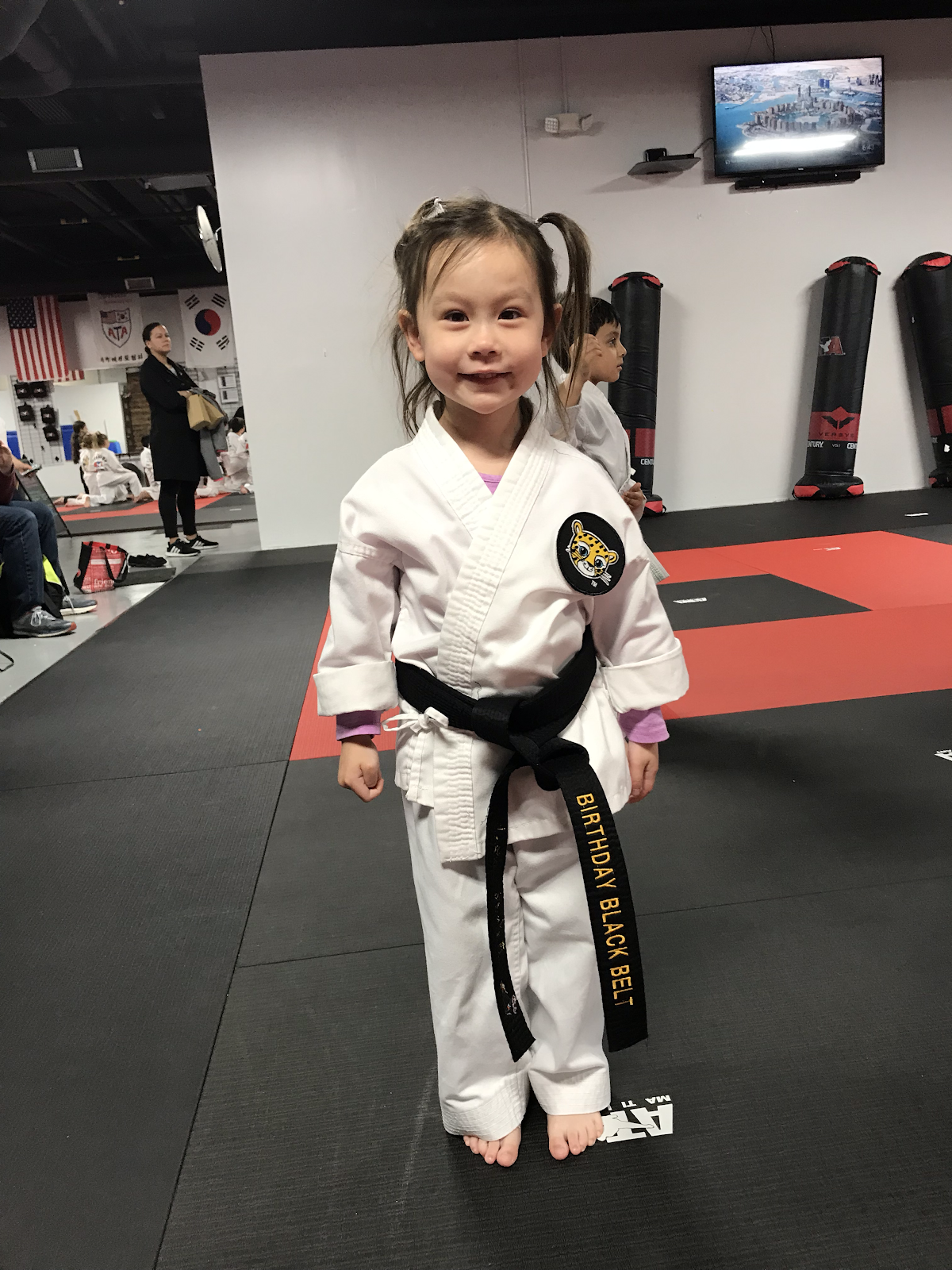 ATA Martial Arts - Franklin Park