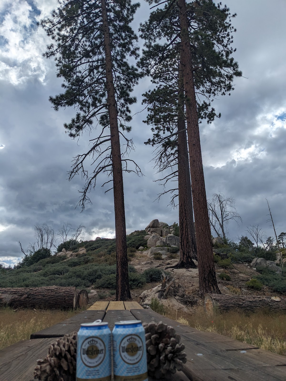 Grays Peak Group Campground