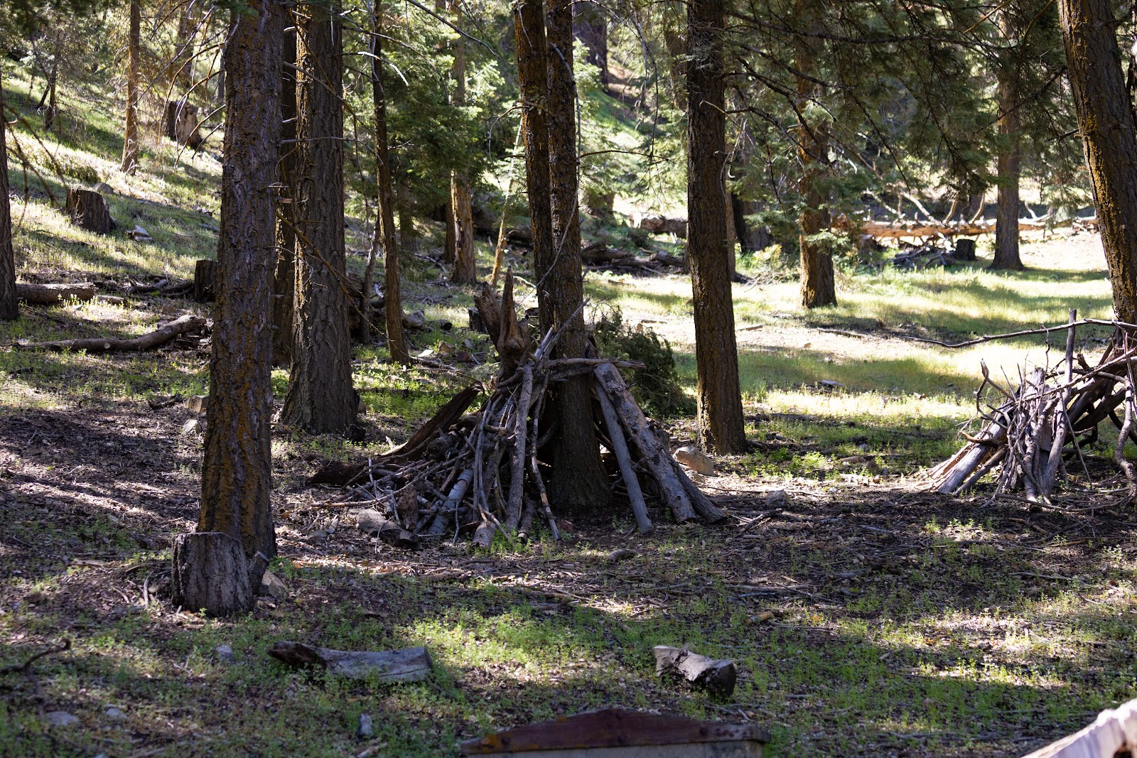Tehachapi Mountain Park