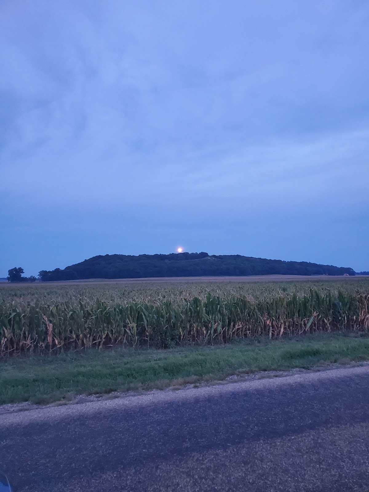 Big River State Forest