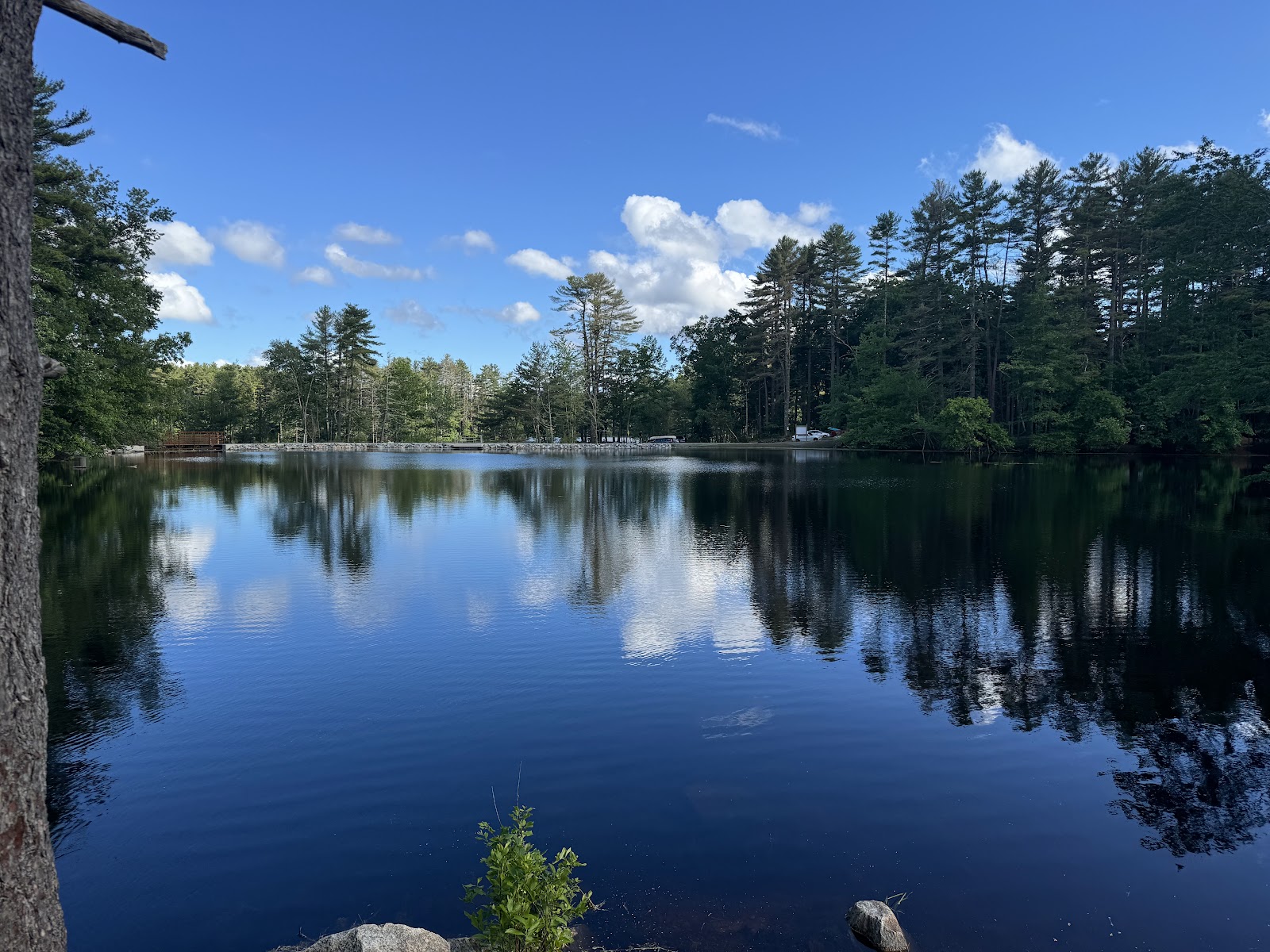 Harold Parker State Forest
