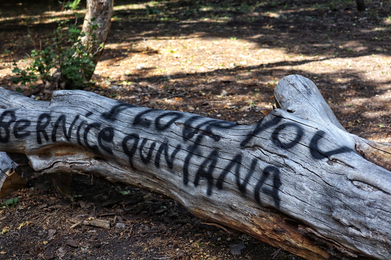 Middle canyon campground