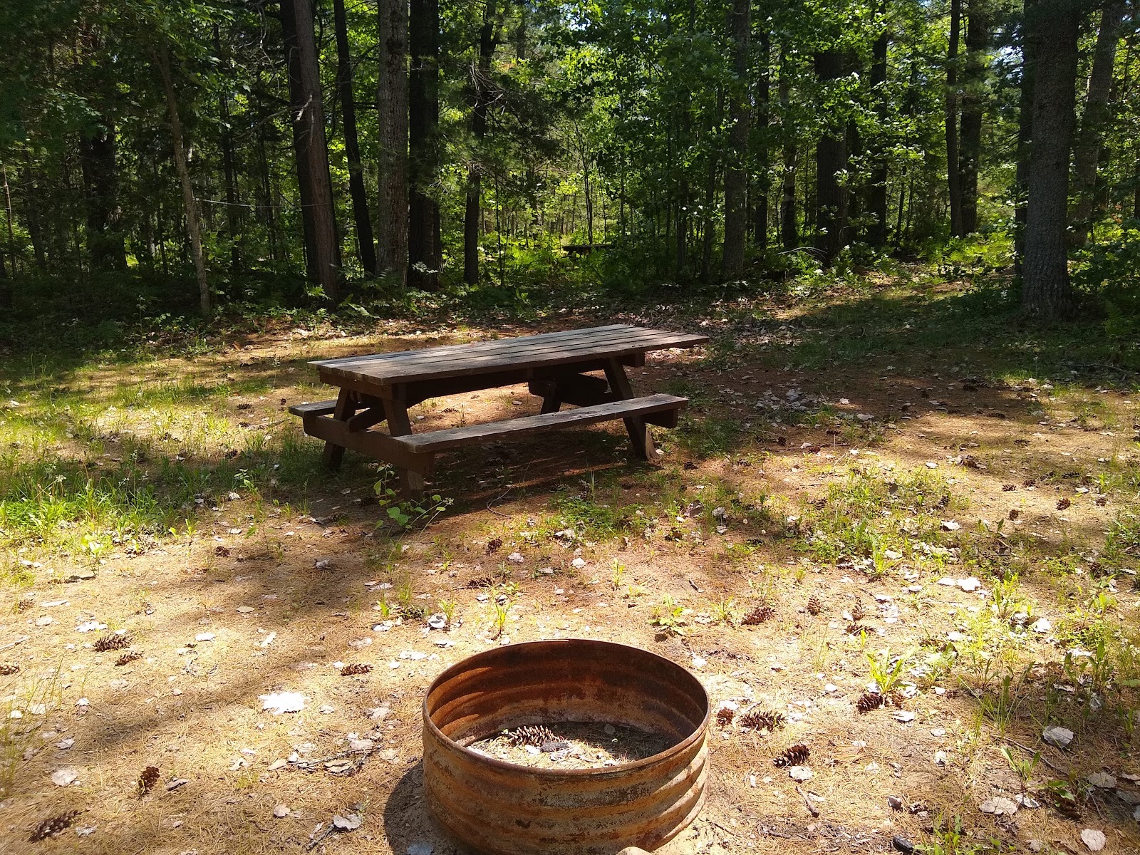 Holland Lake SF Campground
