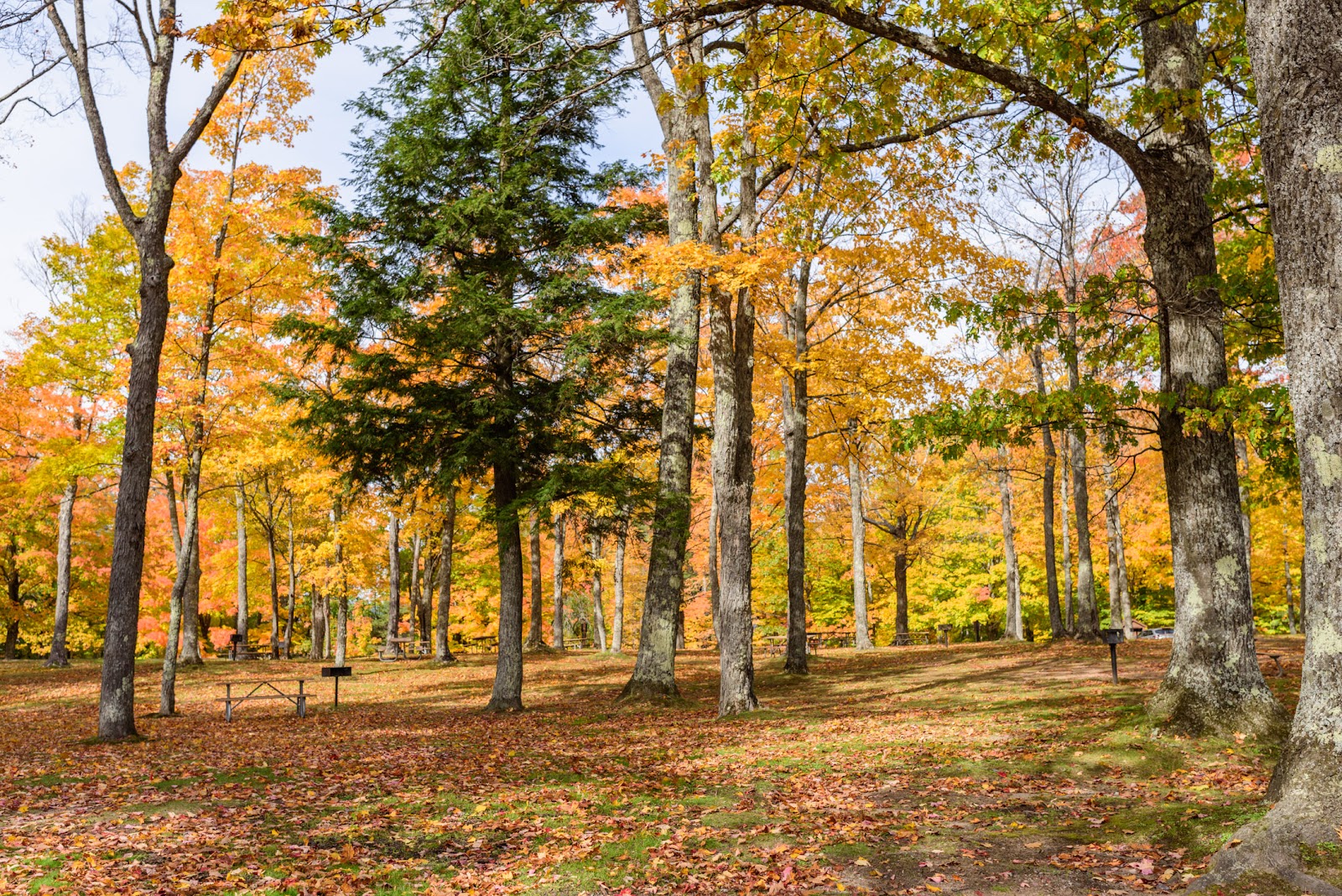 Twin Lakes State Park