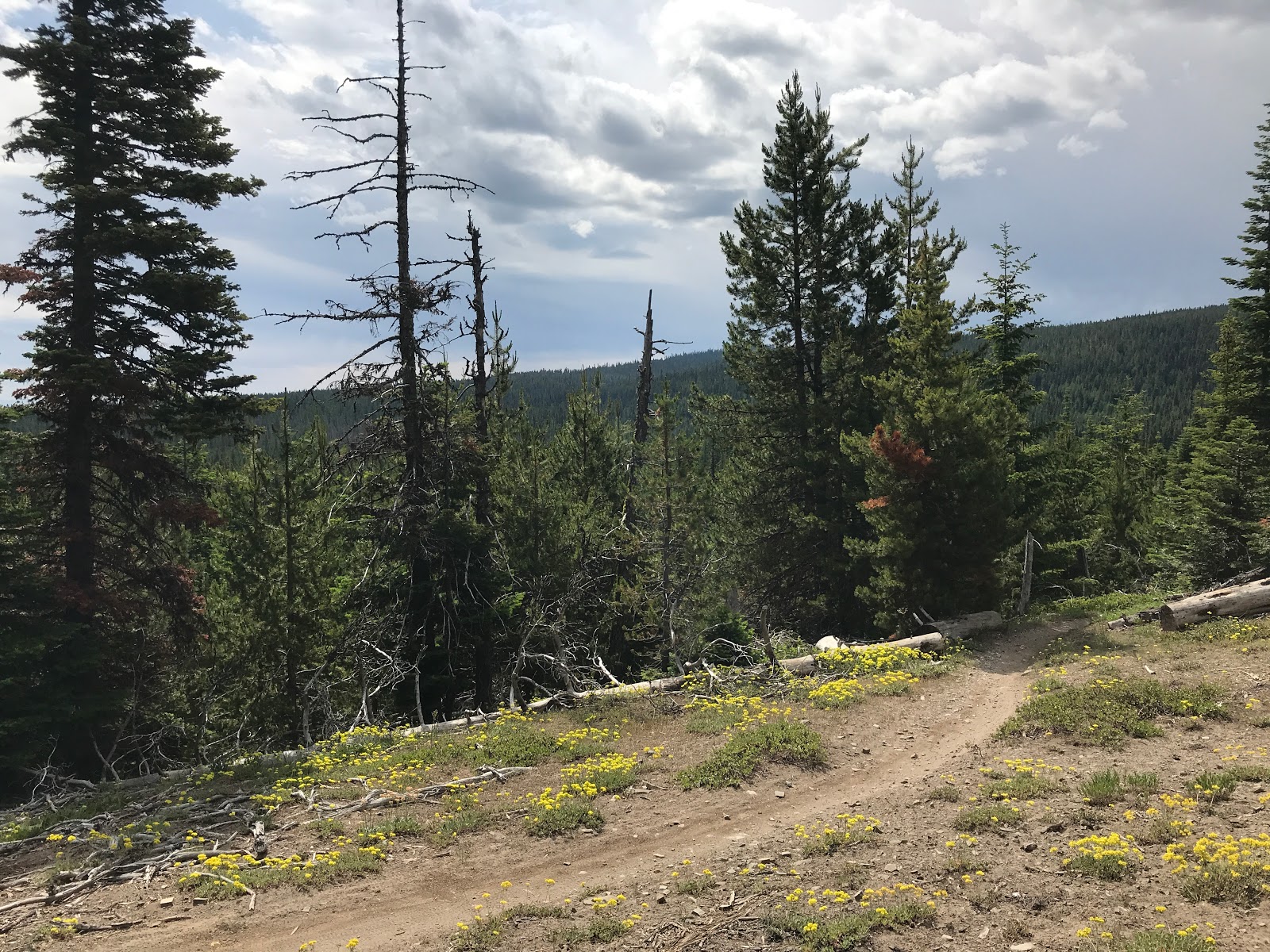 Knebal Springs Campground