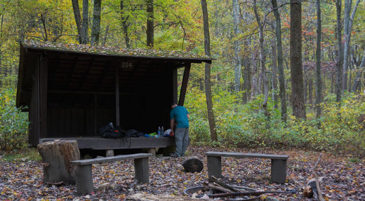 Mother Earth Organic Farm Camping