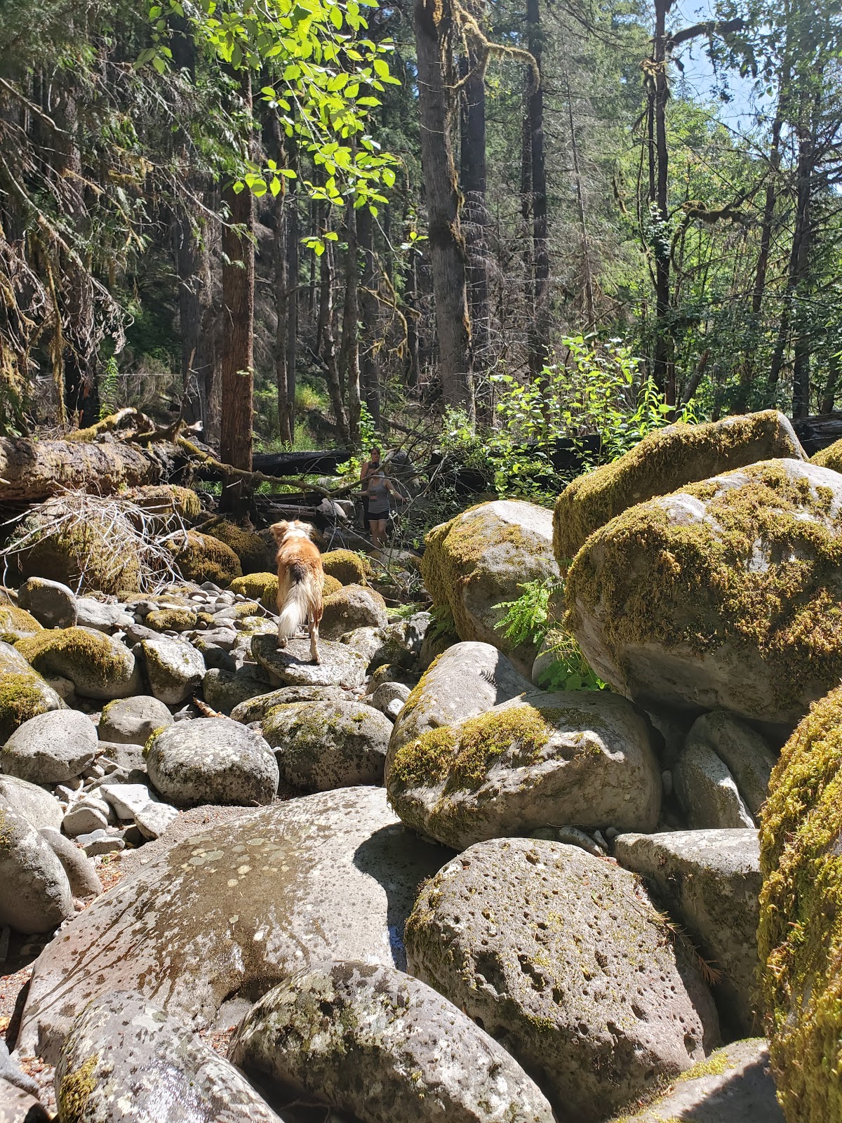 Hard Rock Group Campground