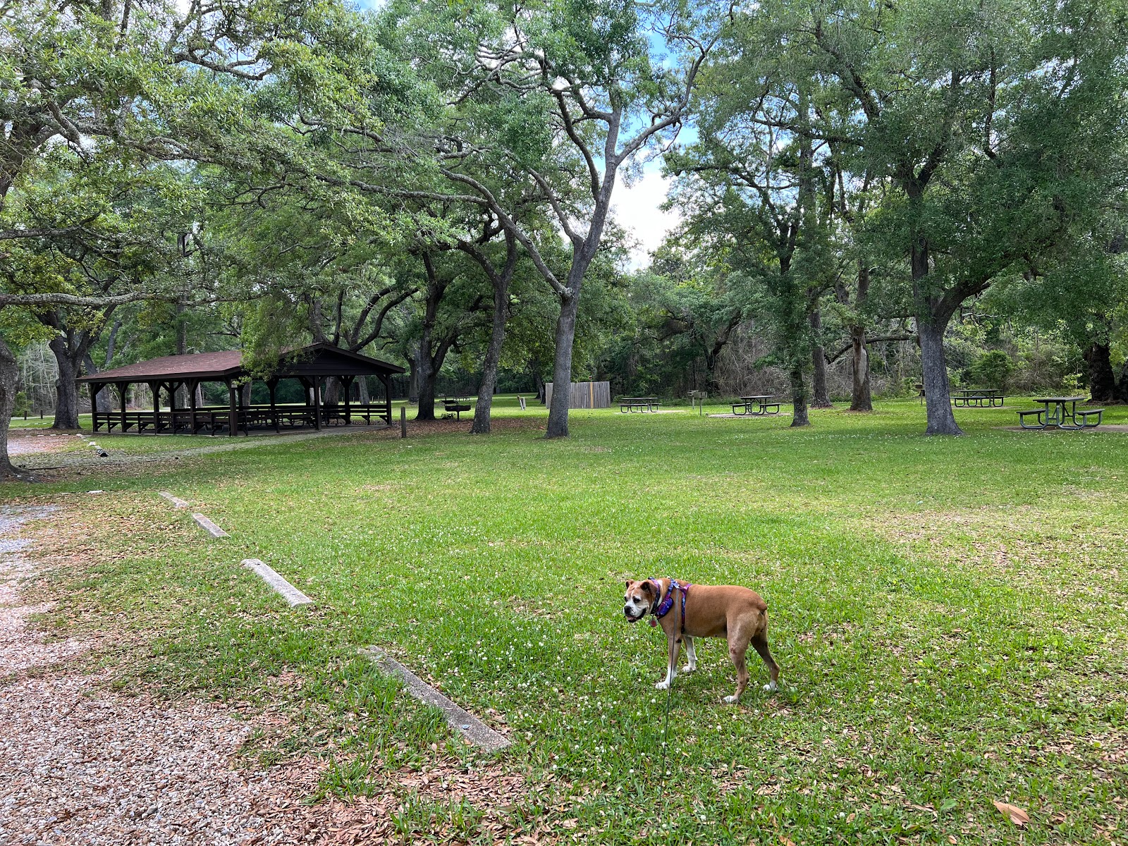 Davis Bayou Campground