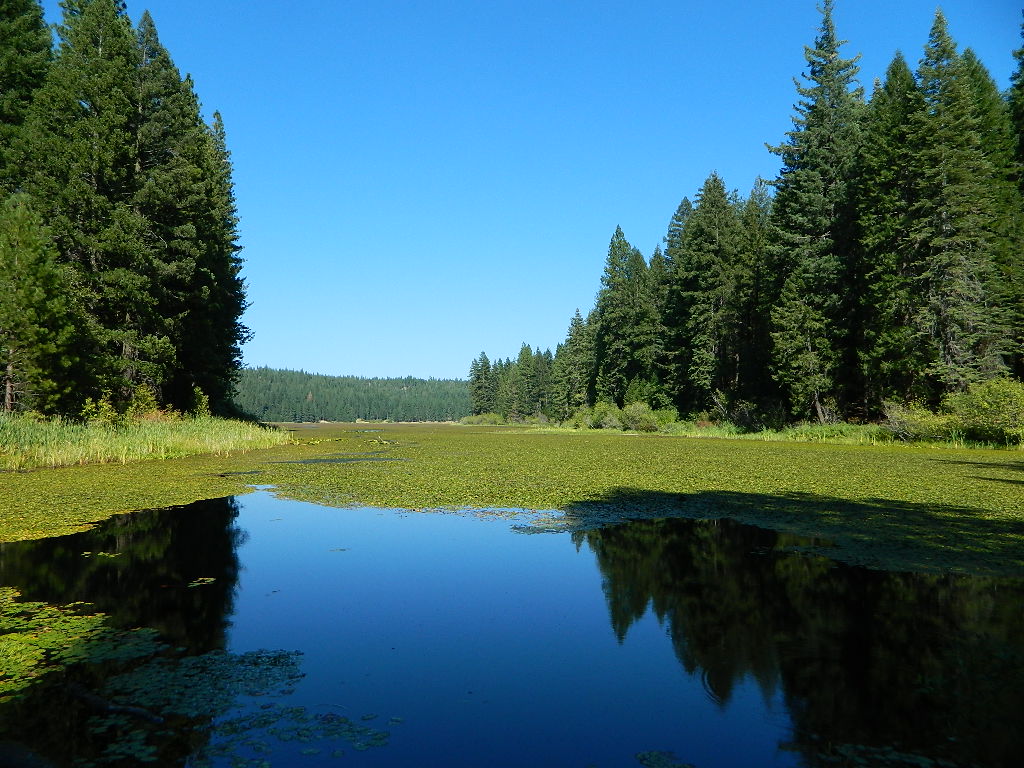 Snake Lake Campground