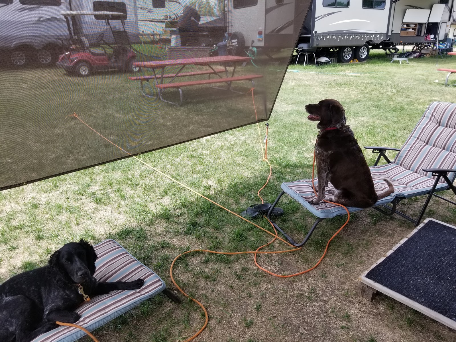 Morning Star Campground