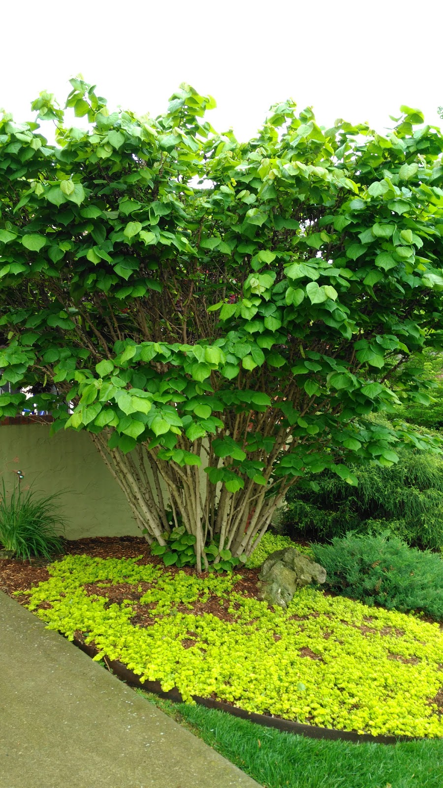 Holiday Island Holdings, Inc.