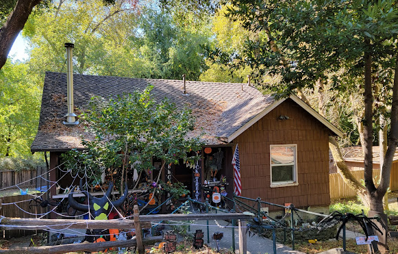 Henry Cowell Redwoods Campground