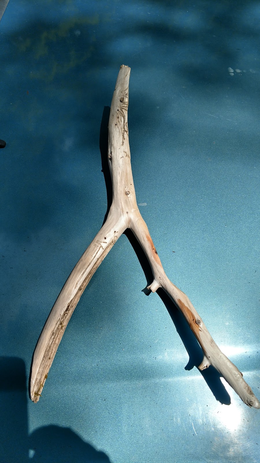 Box Canyon Horse Campground