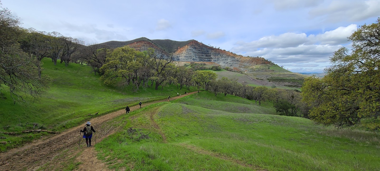 Junction - Mt Diablo State Park