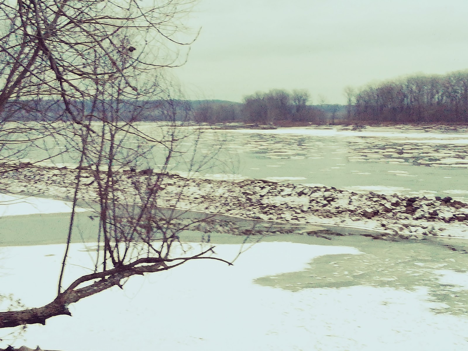 Marion Bottoms Conservation Area