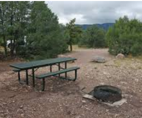 The Bank Campground