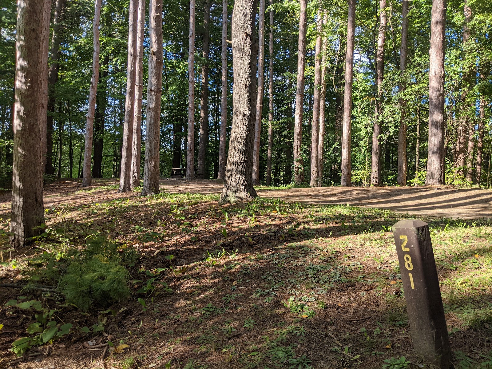 Watkins Glen State Park Six Nations Camping Area