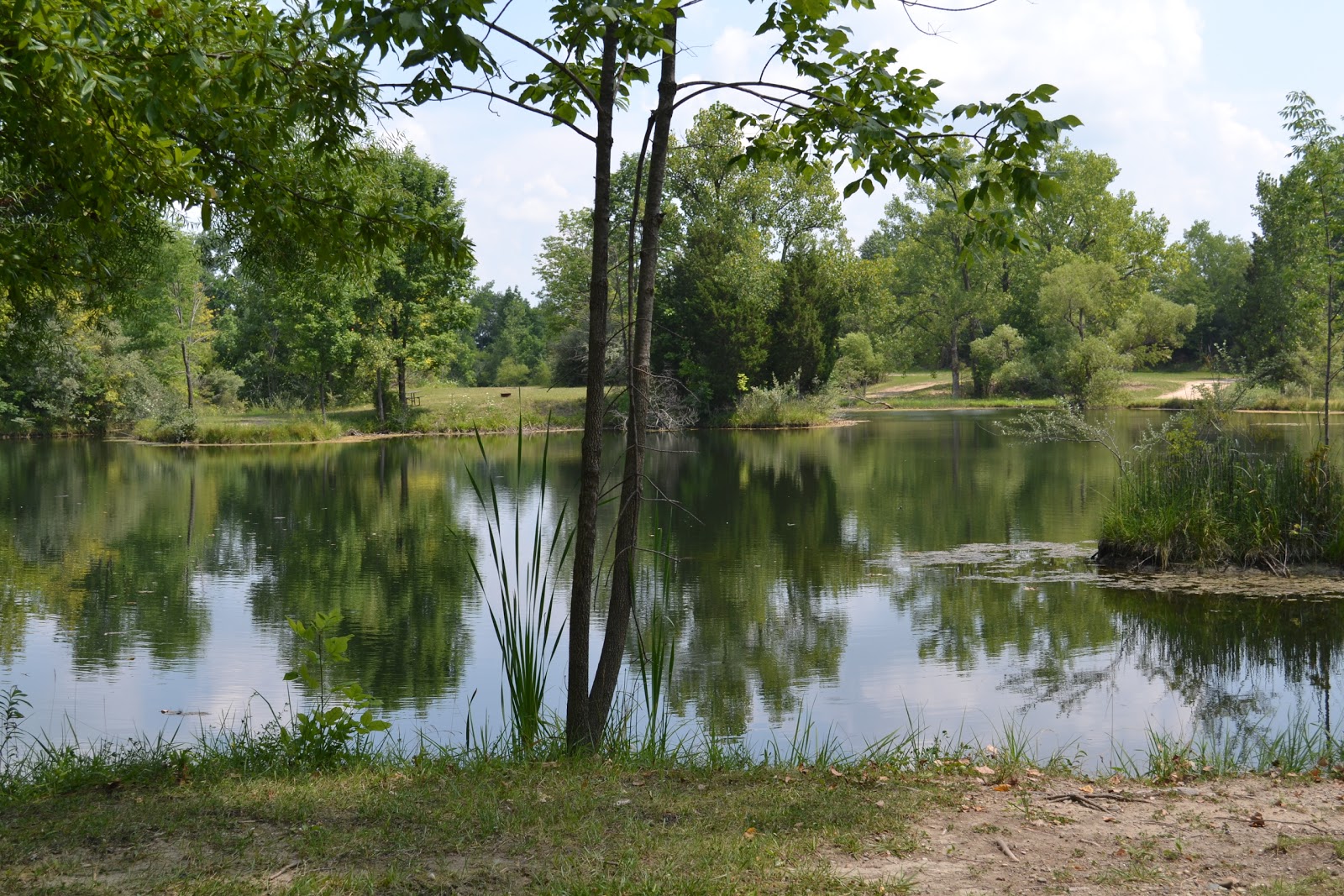 Thousand Trails / Horseshoe Lake