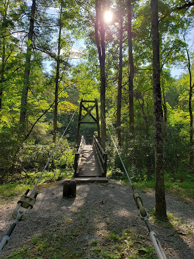 Blue Bend Campground