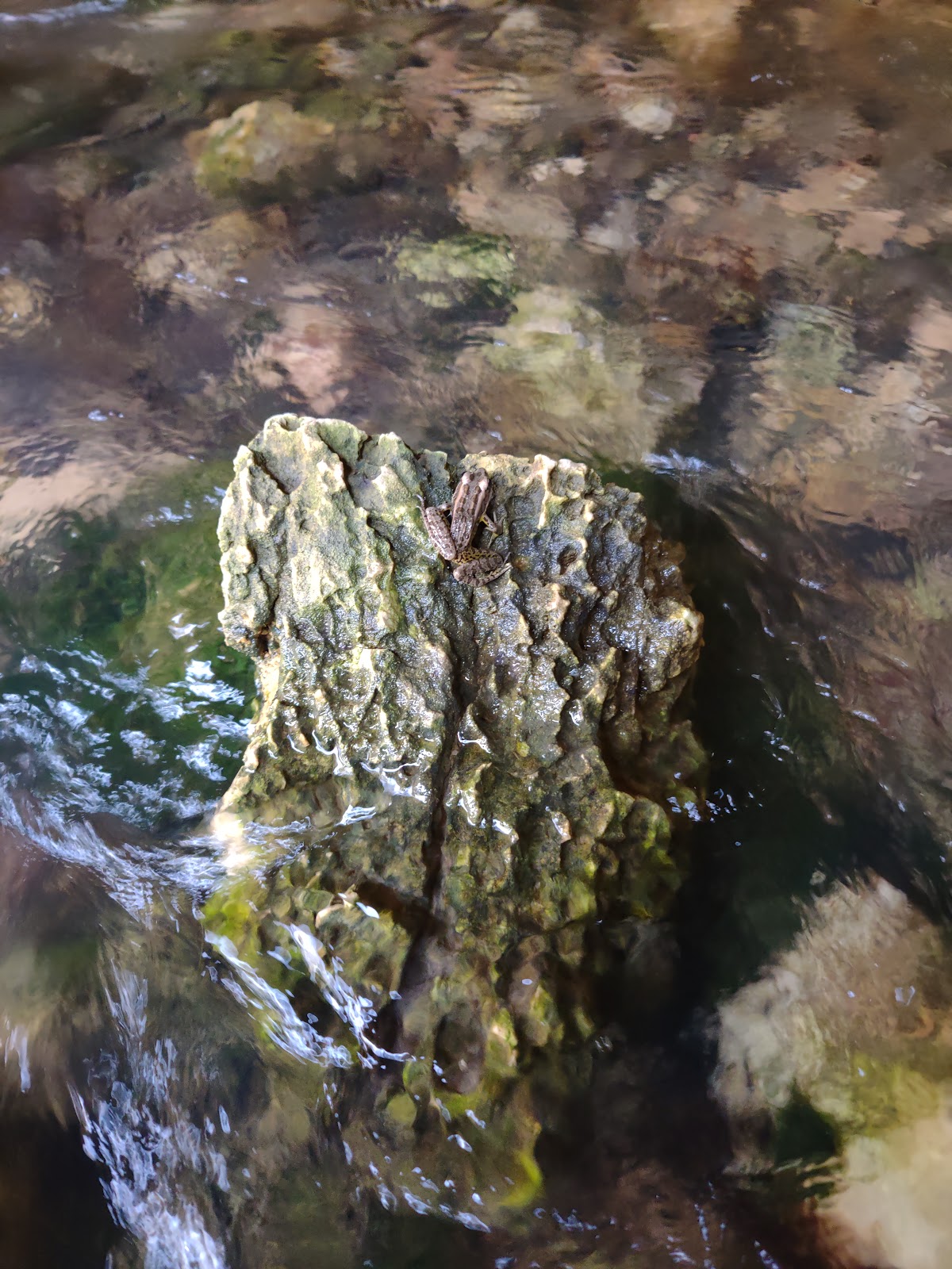 North Fork River Ranch