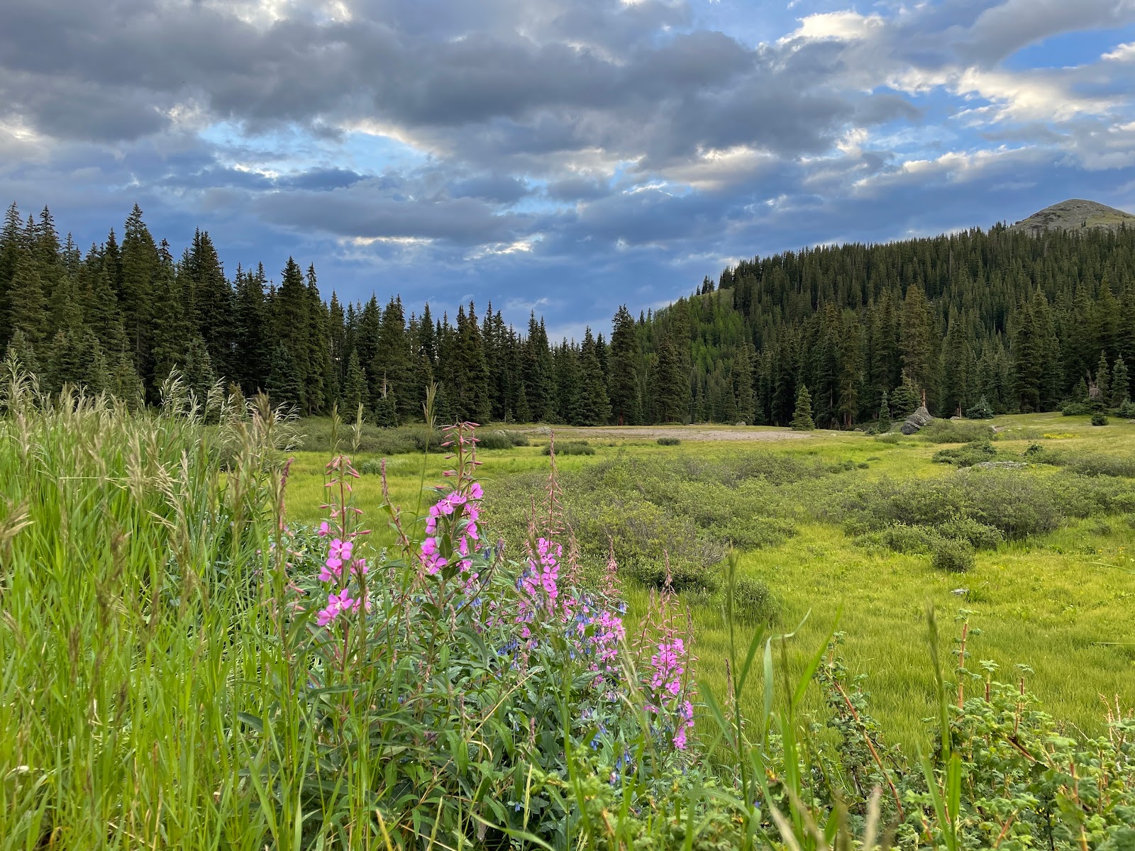 Alta Lakes Campground
