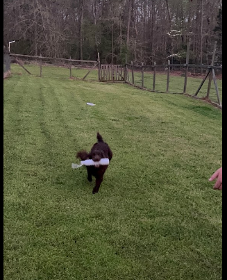 Wateree Lake Campground