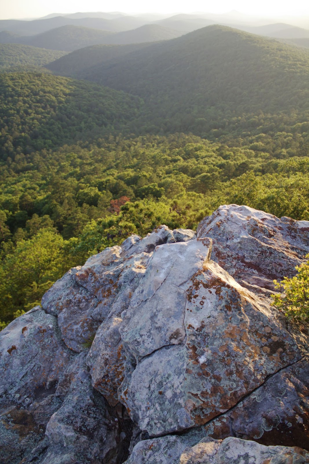Flatside Wilderness Area