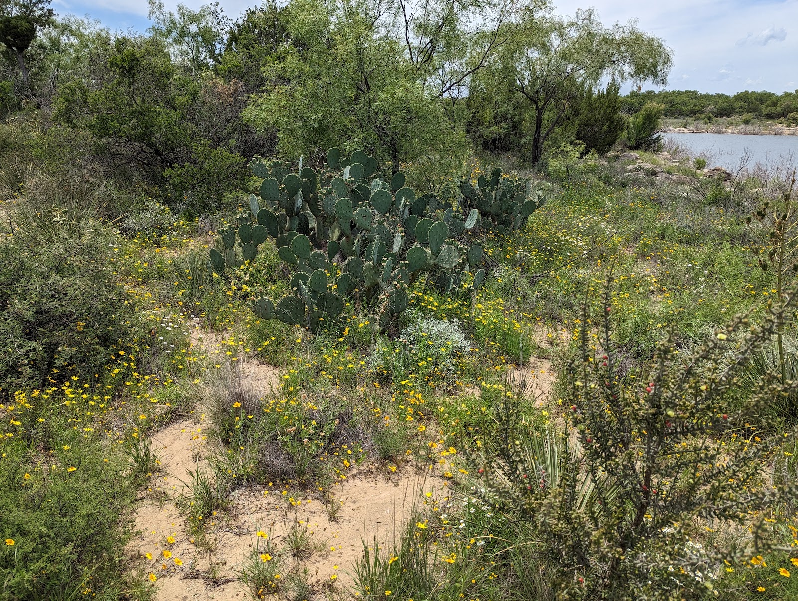Lake Colorado City State Park