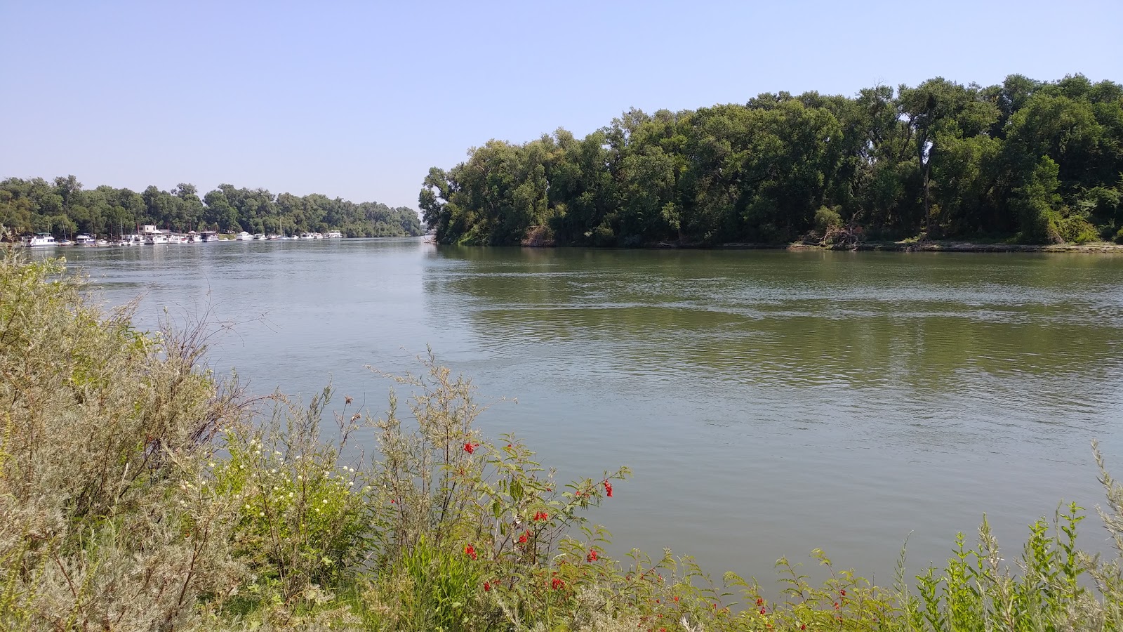 Sherwood Harbor Marina & RV Park