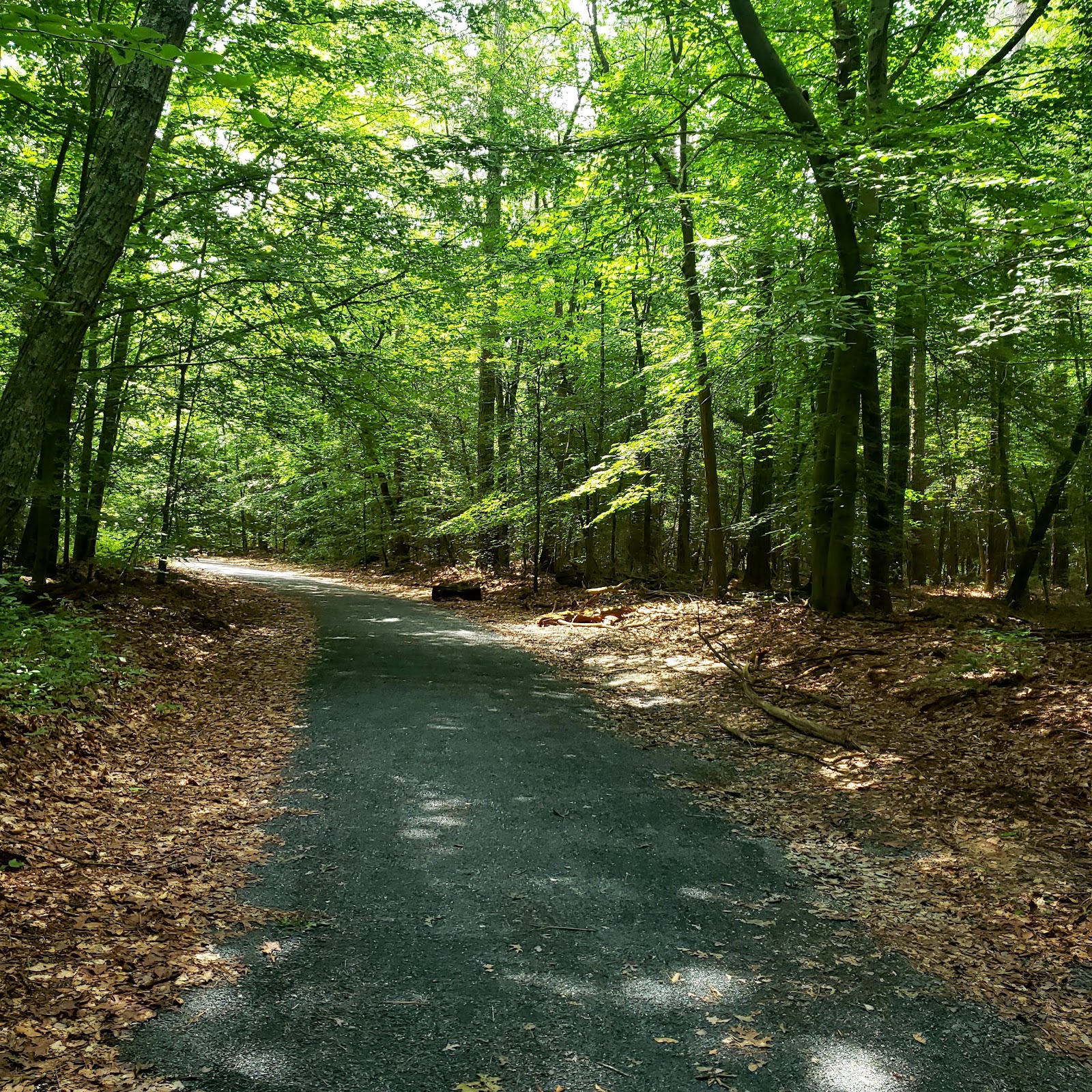 Trap Pond State Park