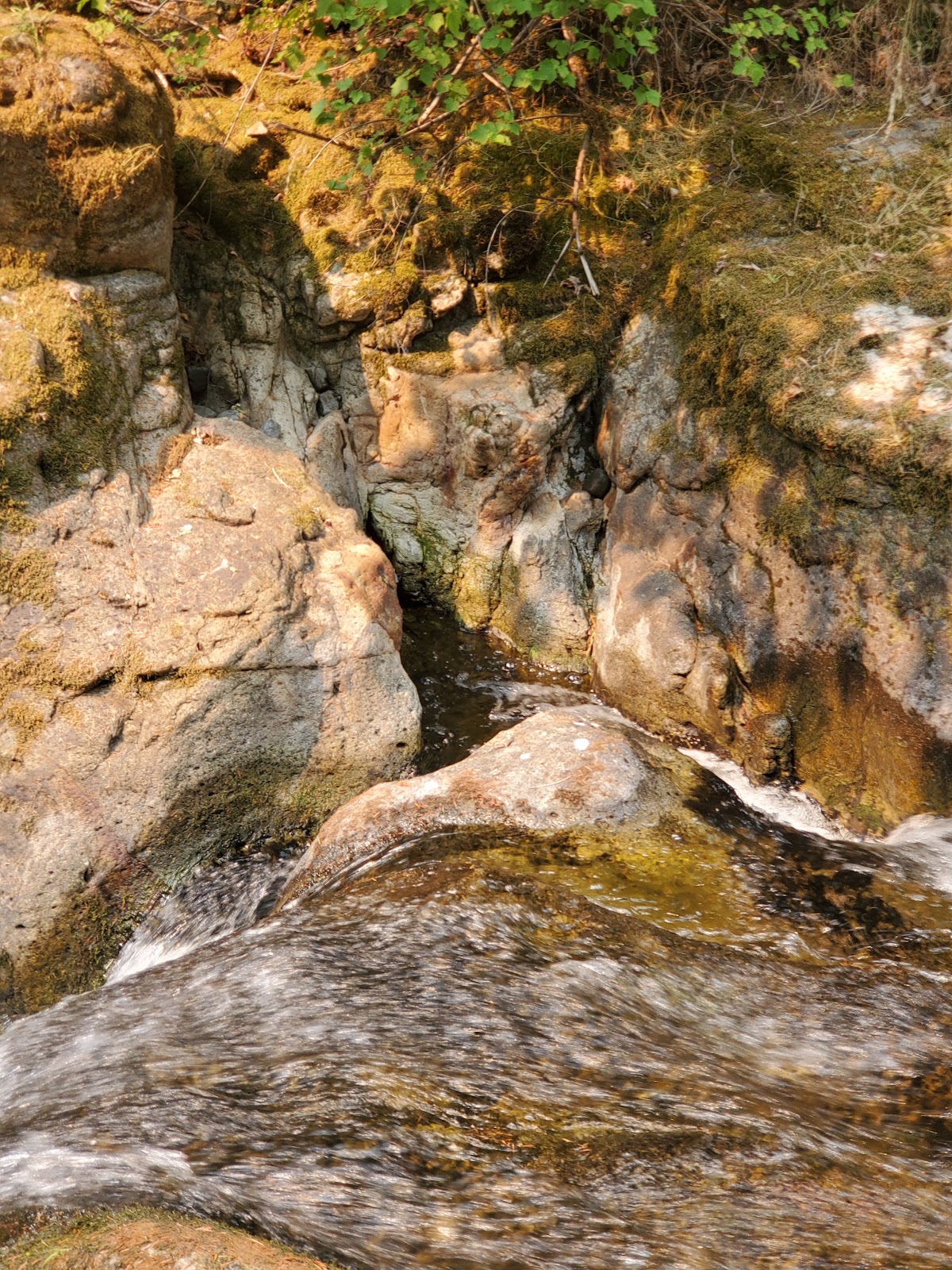 Wolf Creek Campground