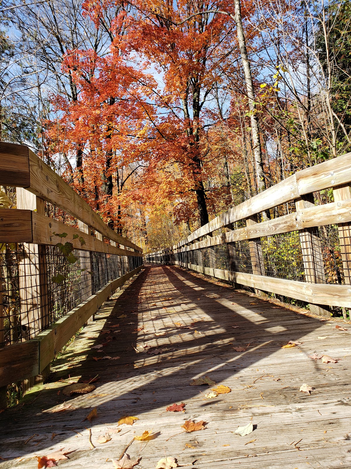 Chippewa Landing Campground
