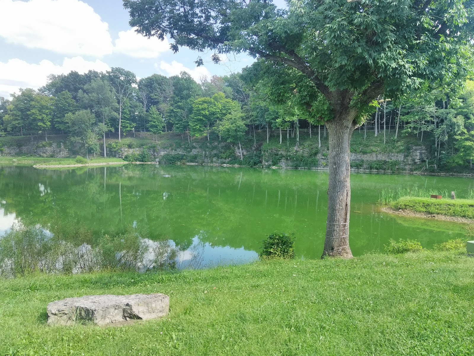 Bass Lake Campground