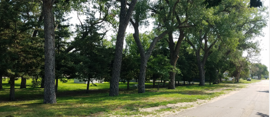 Arthur village park Camping