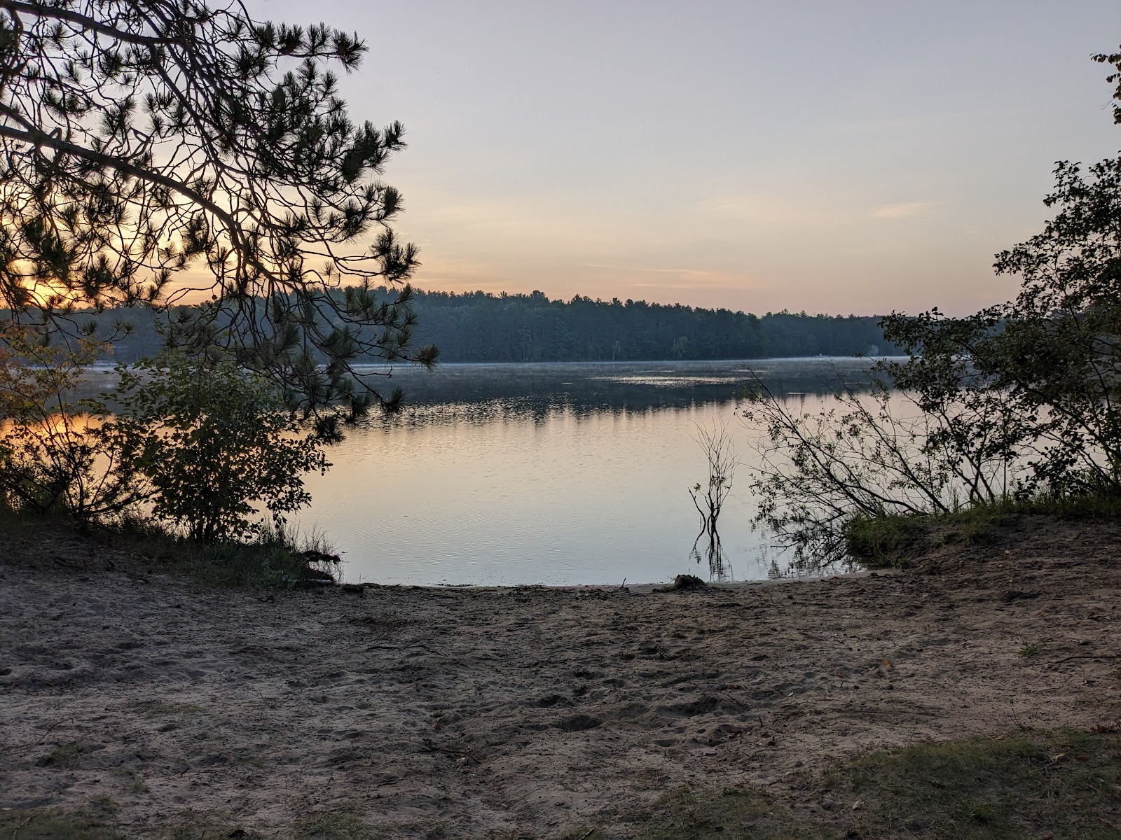 Arbutus Lake SF Campground