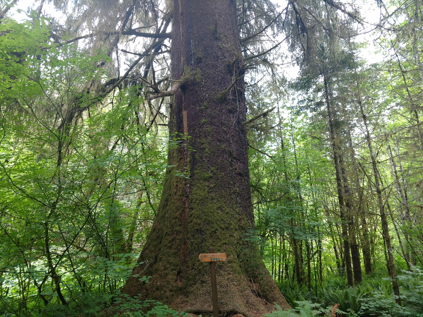 Artic RV Park & Campground