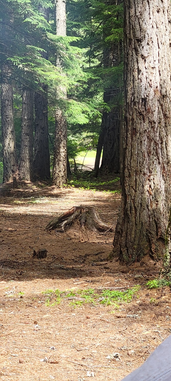 Marten Creek Group Campground