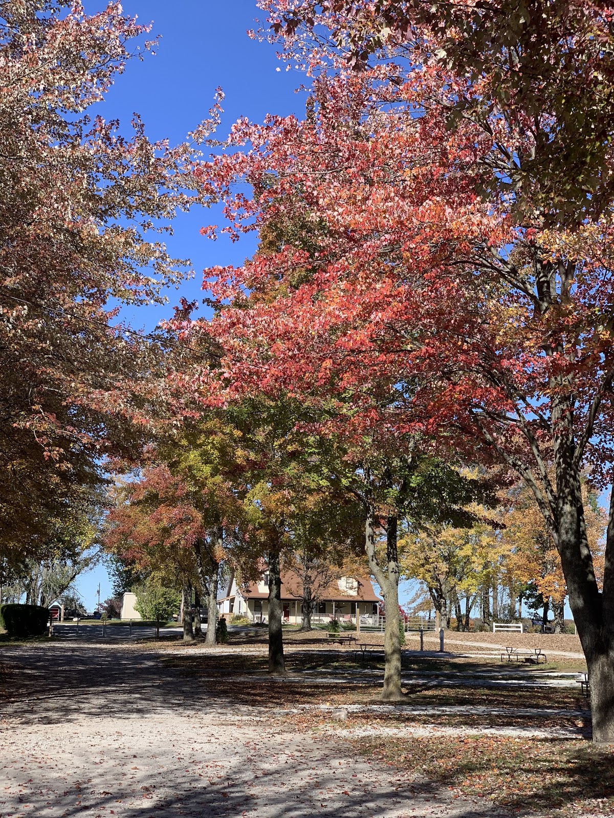 Maple Ridge Campground