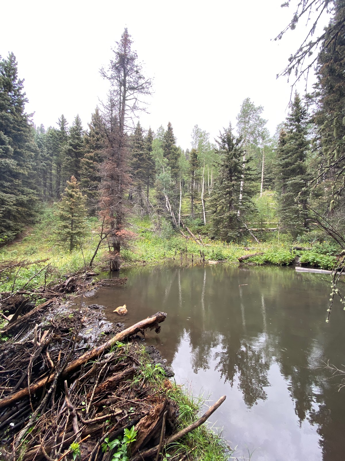 Upper La Junta Campground