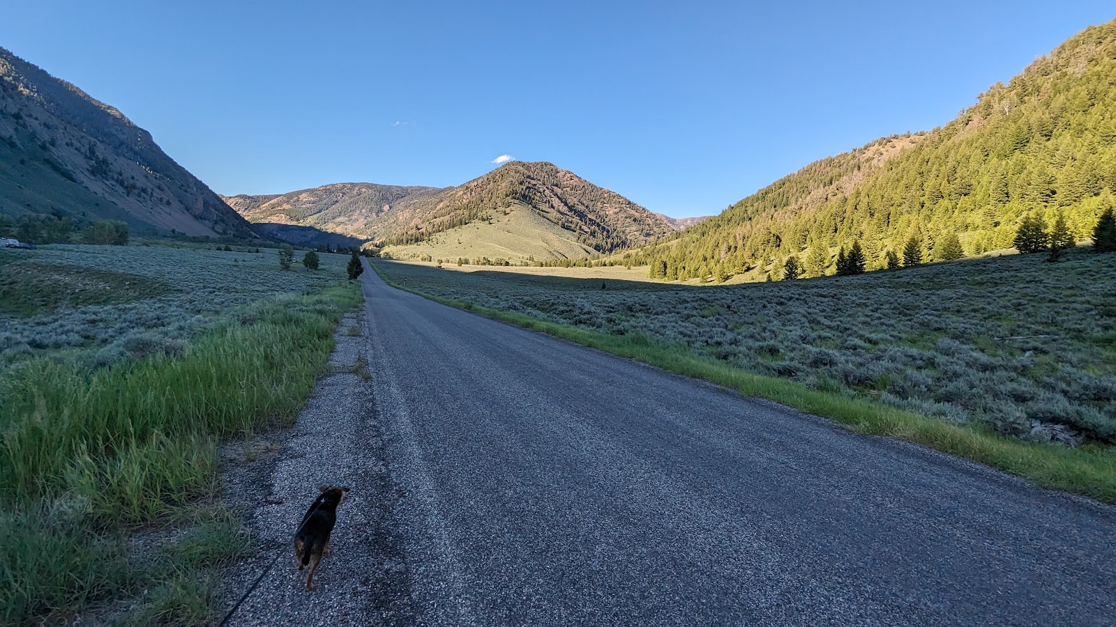 Cottonwood Campground