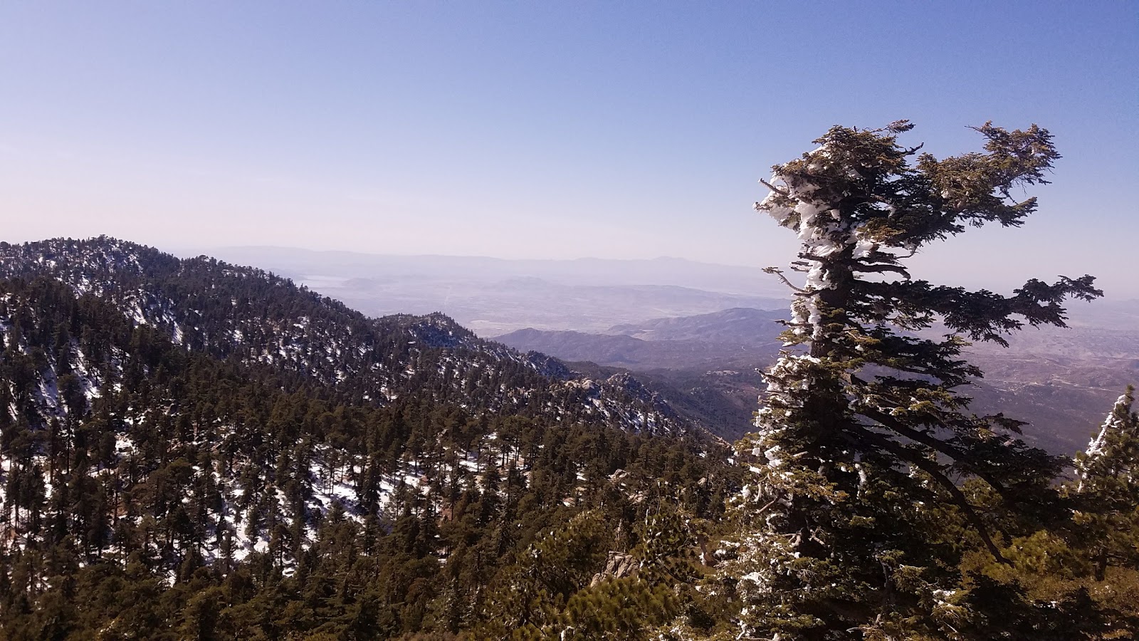 Black Mountain Group Campground