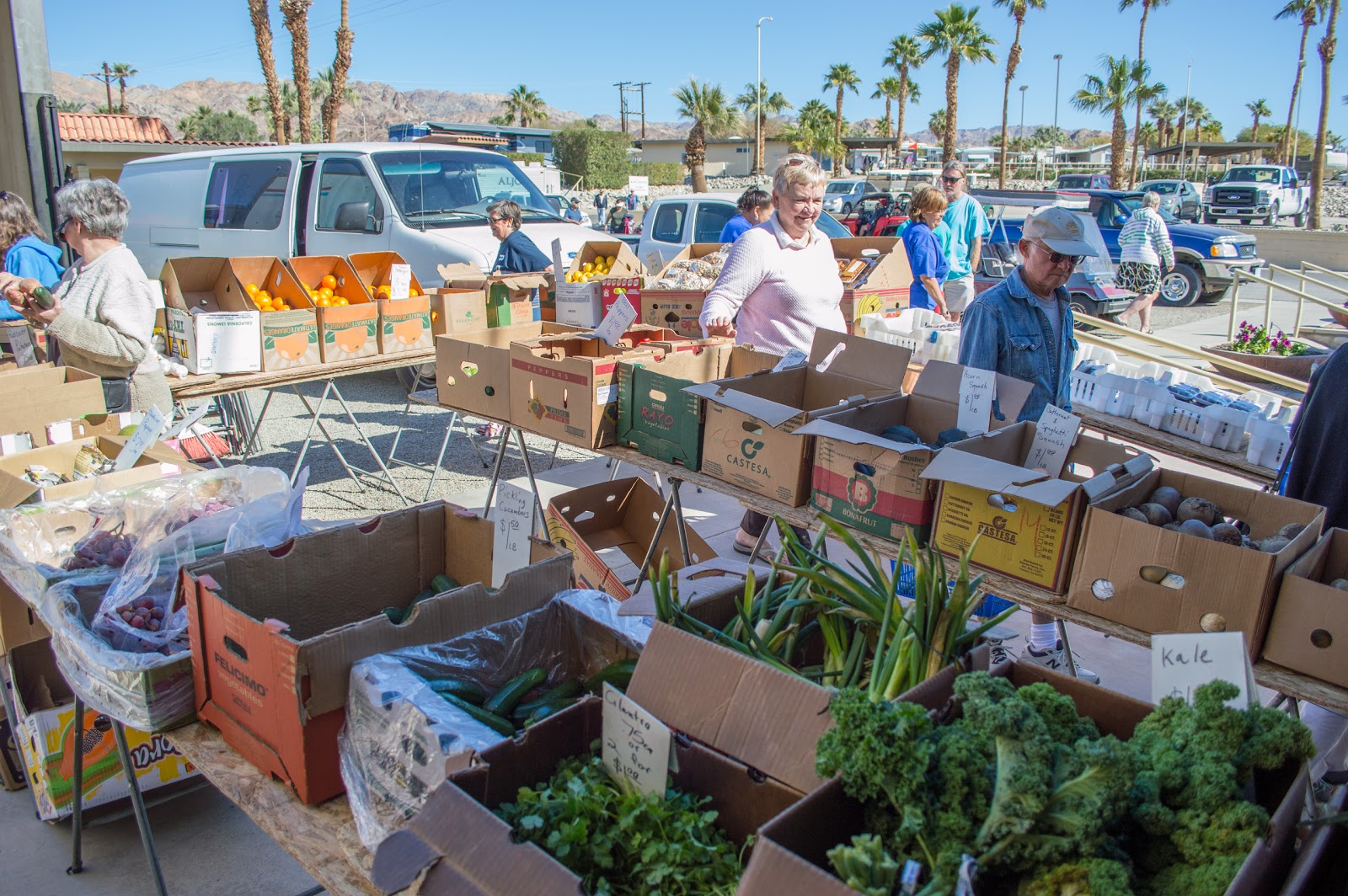 Fountain of Youth Spa RV Resort