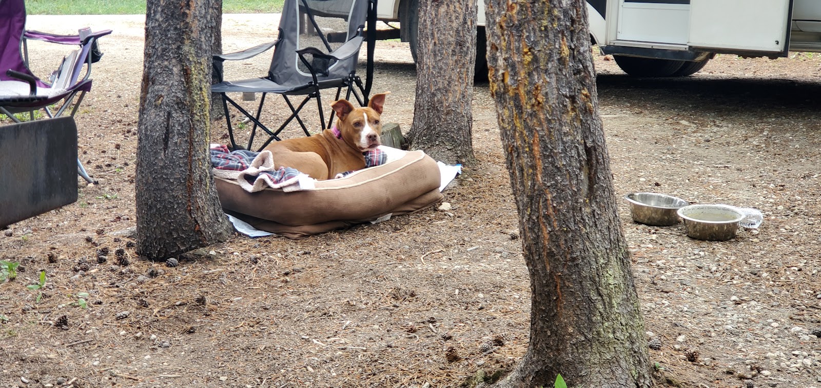 Lost Cabin Campground