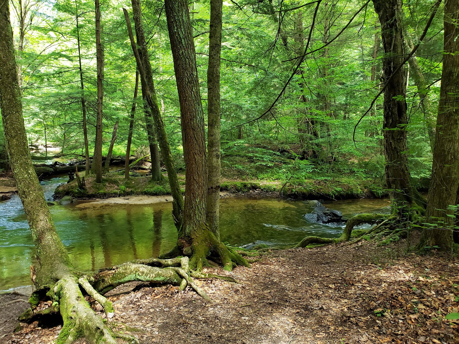 Minister Creek Campground
