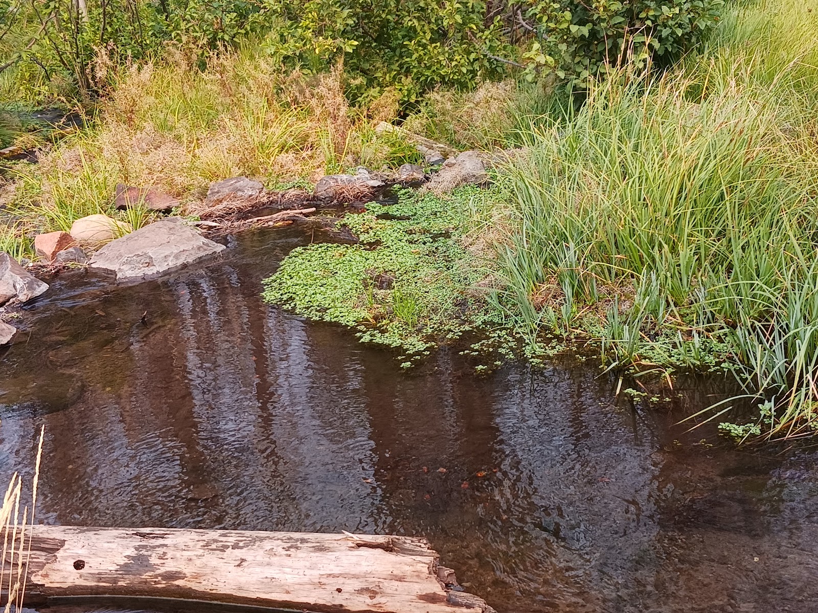 Conklin Park Campground