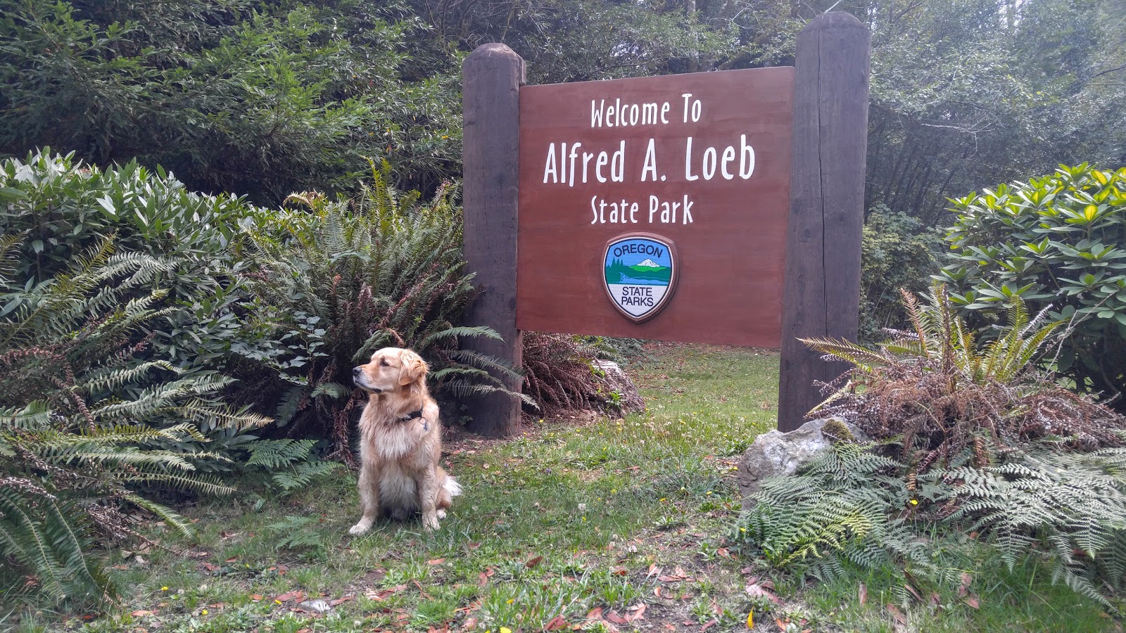Alfred A. Loeb State Park