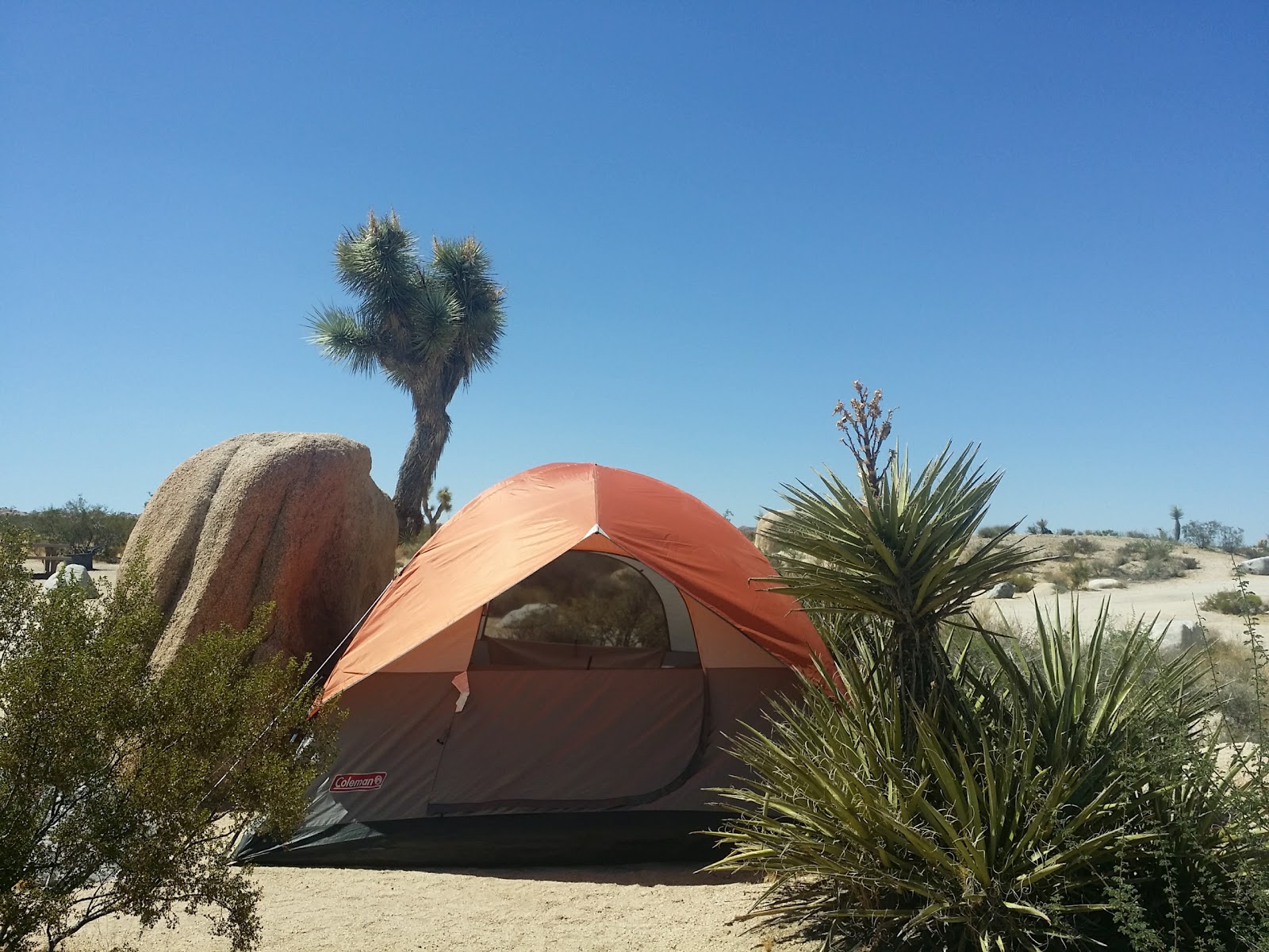 White Tank Campground