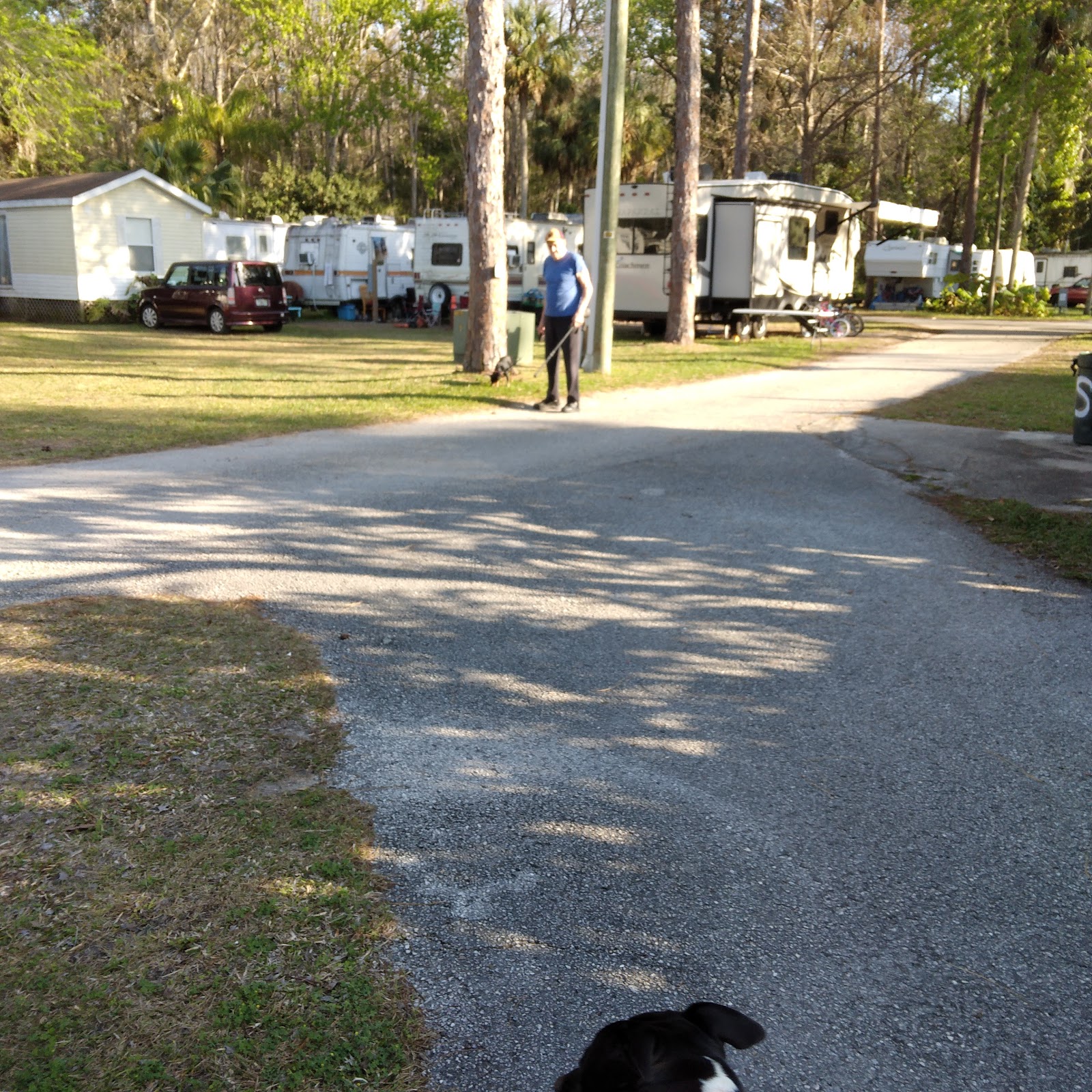 Aripeka West RV Park