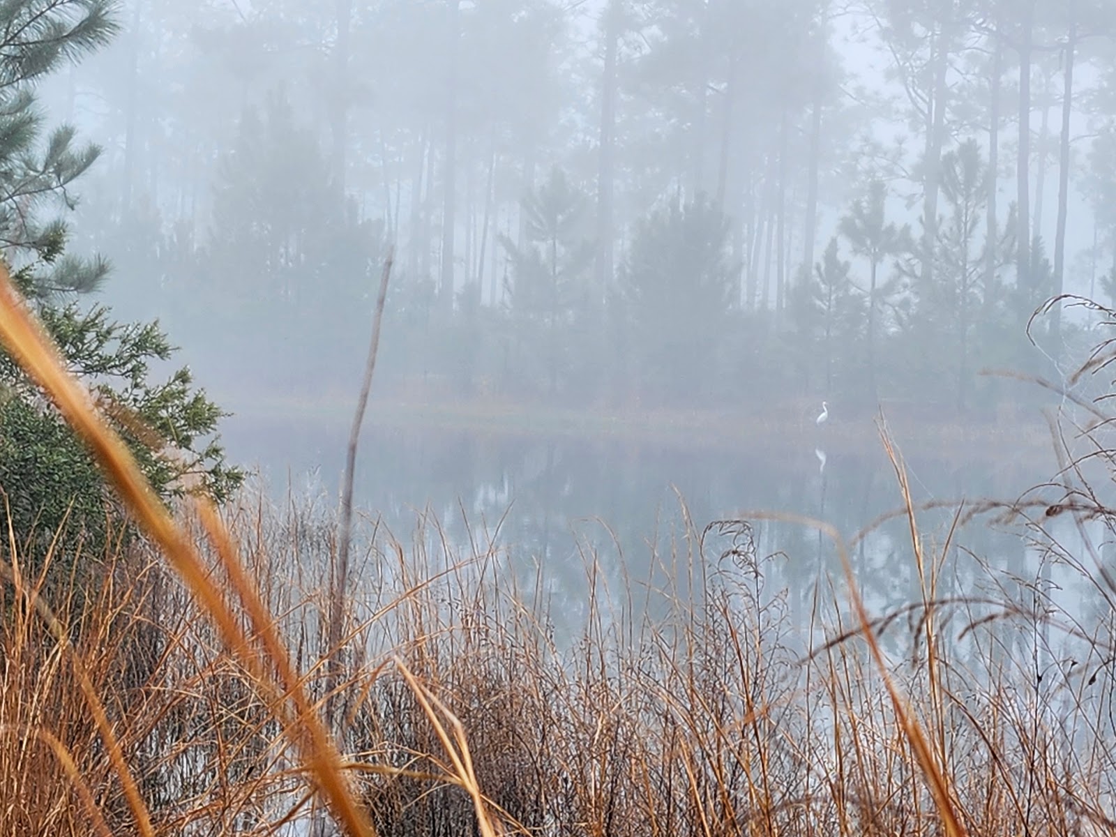 Hurlburt Field FamCamp